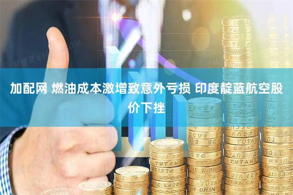 加配网 燃油成本激增致意外亏损 印度靛蓝航空股价下挫